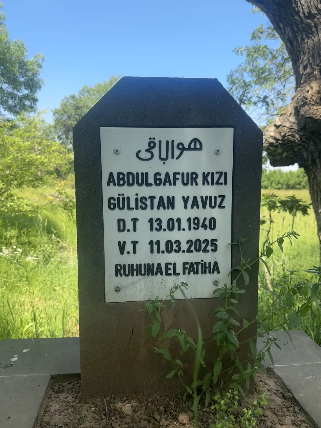 Gülistan Yavuz (1940–2025)