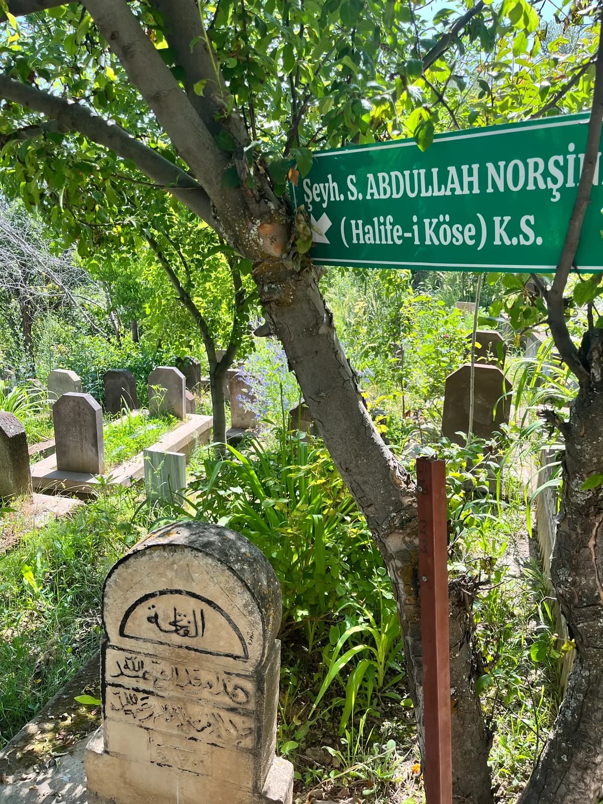 Şeyh Abdullah Norşînî (Halife-i Köse)