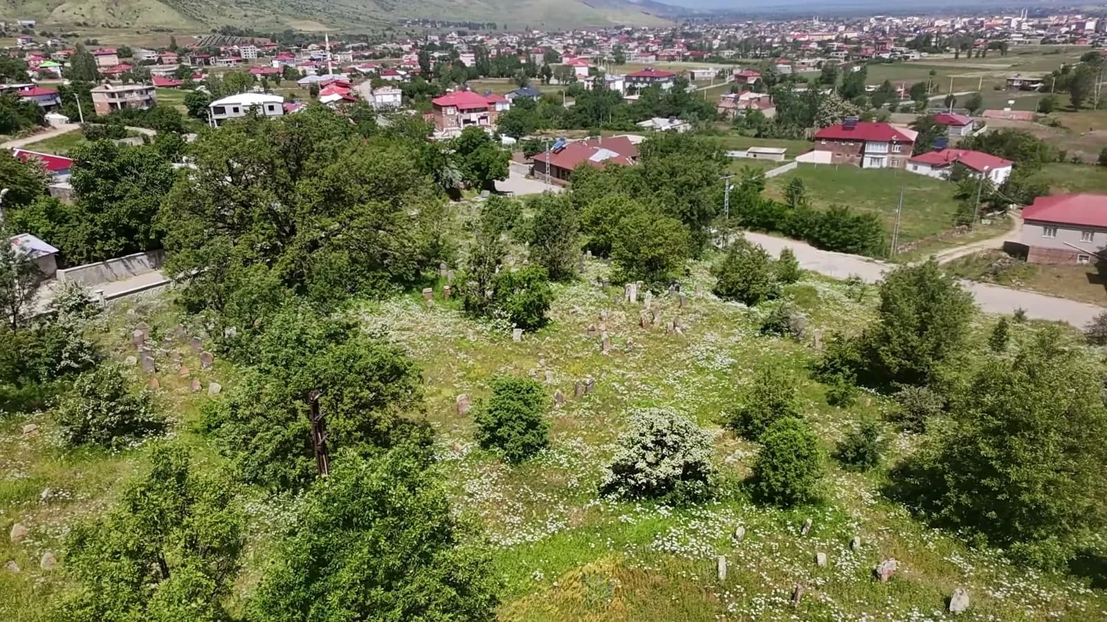 Mezarlık ve köy manzarası, havadan